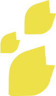 yellow-leaves